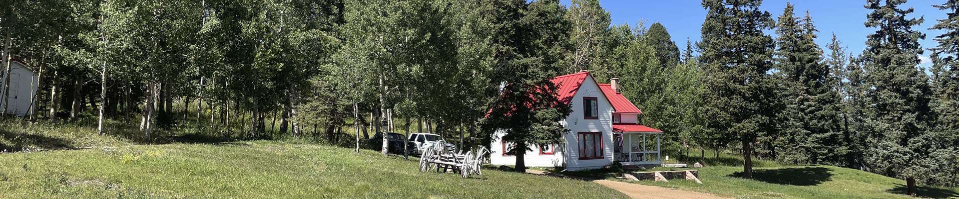 All-Natural Grass-Fed Beef Pricing and Contact PBJ Cattle Company
