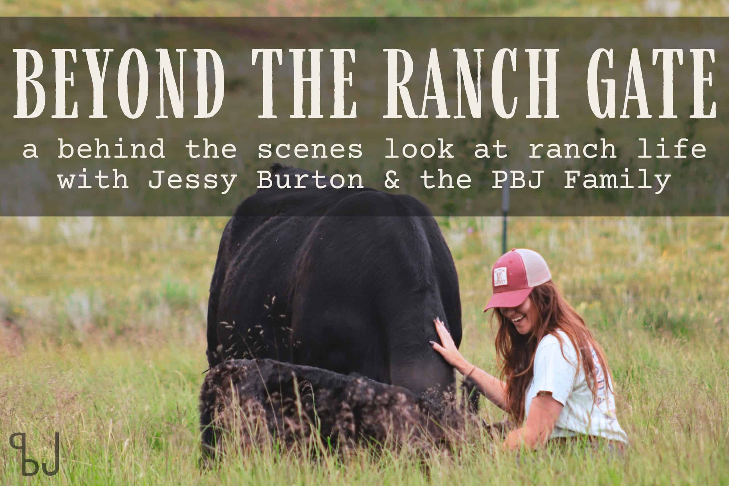 Beyond the Ranch Gate
